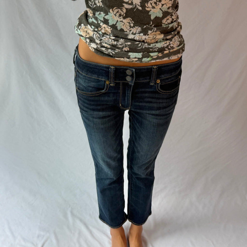 vintage American Eagle capris jeans ⋆˙⟡